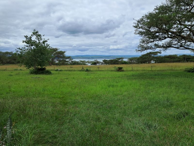 Prime 22ha Smallholding with Multiple Dwellings and Scenic Dam Views - Photo 9