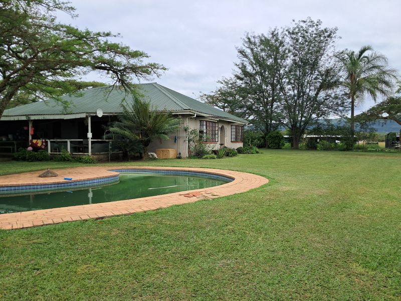 Prime 22ha Smallholding with Multiple Dwellings and Scenic Dam Views - Photo 8
