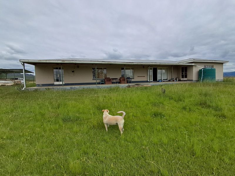 Prime 22ha Smallholding with Multiple Dwellings and Scenic Dam Views - Photo 10