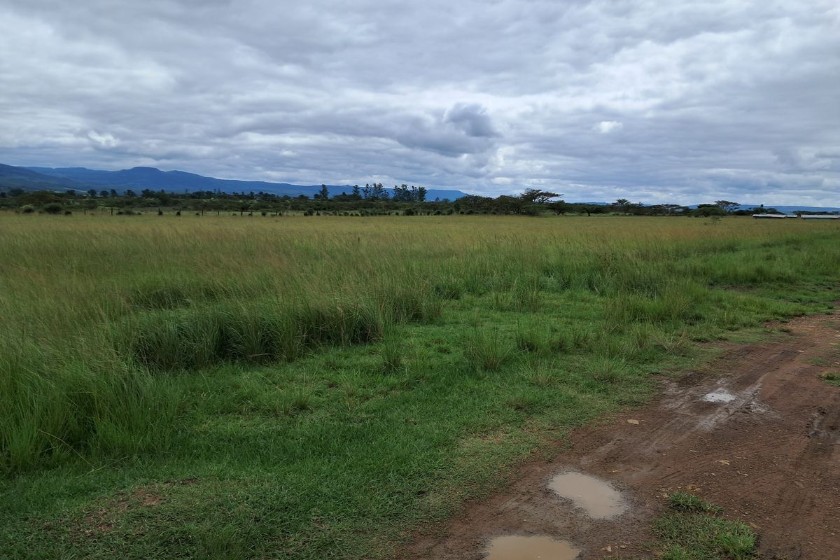 Prime 22ha Smallholding with Multiple Dwellings and Scenic Dam Views - Photo 3