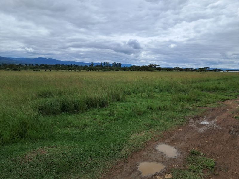 Prime 22ha Smallholding with Multiple Dwellings and Scenic Dam Views - Photo 3