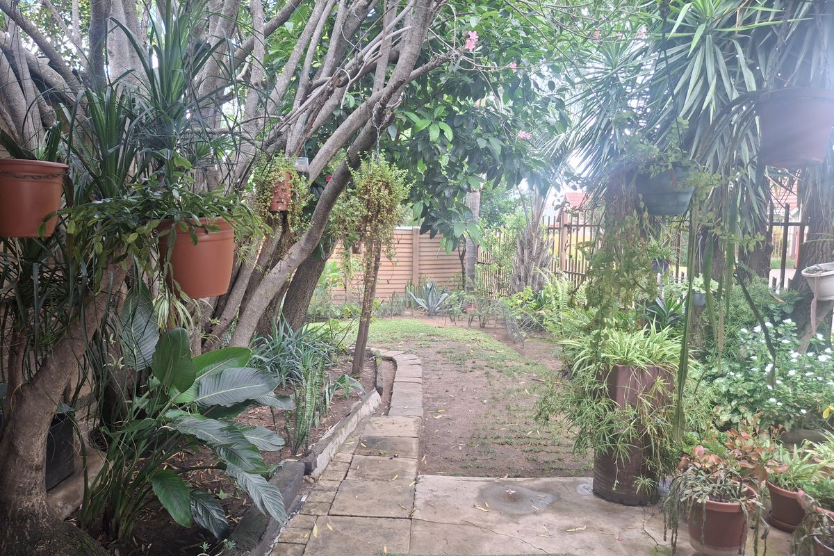 Unique Home with Private Jacuzzi, Pool and stunning Lapa - Photo 4