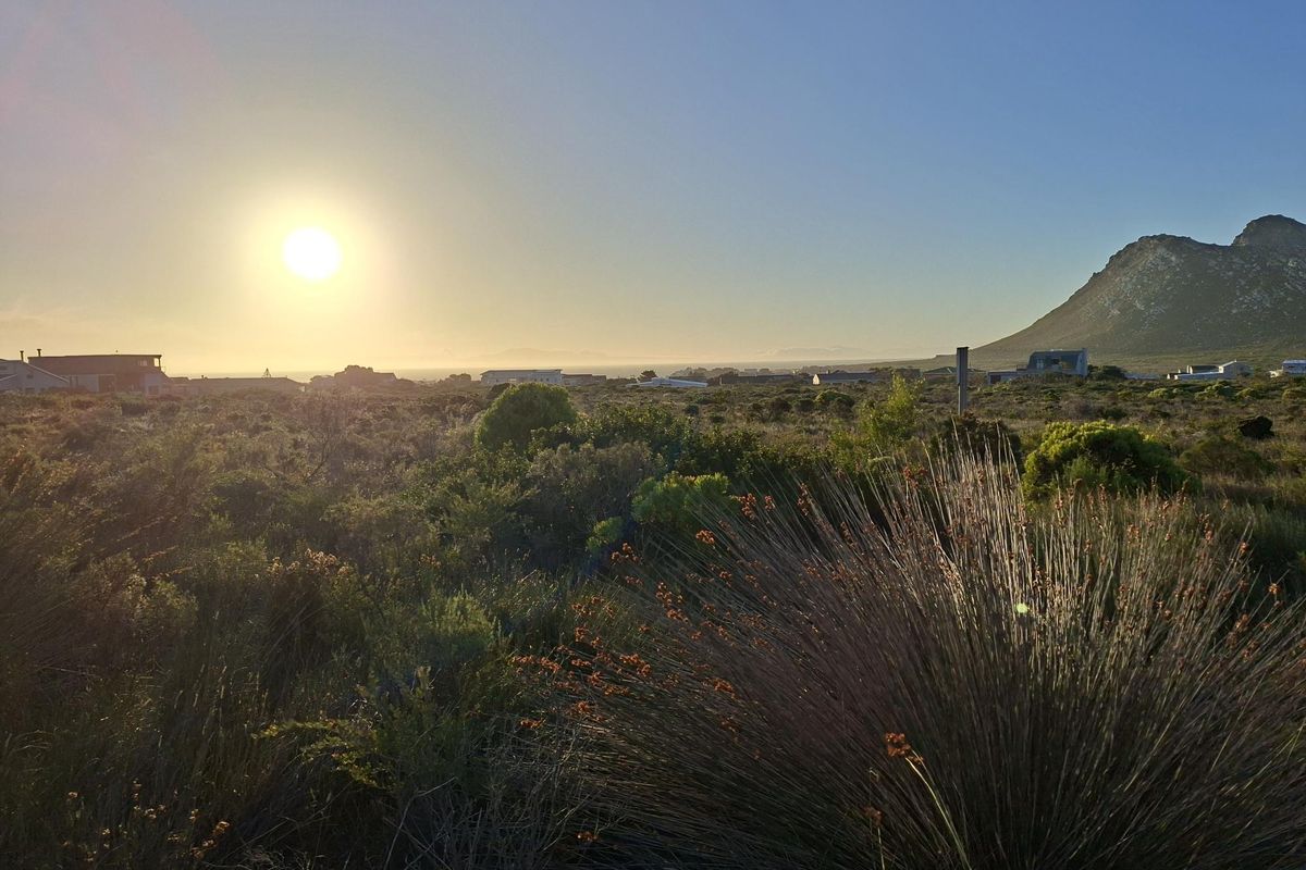 Pringle Bay Vacant Land | Spacious Corner Stand with Great Sea & Mountain Views - Photo 3