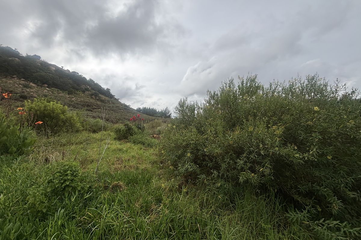 Stand For Sale - Photo 5