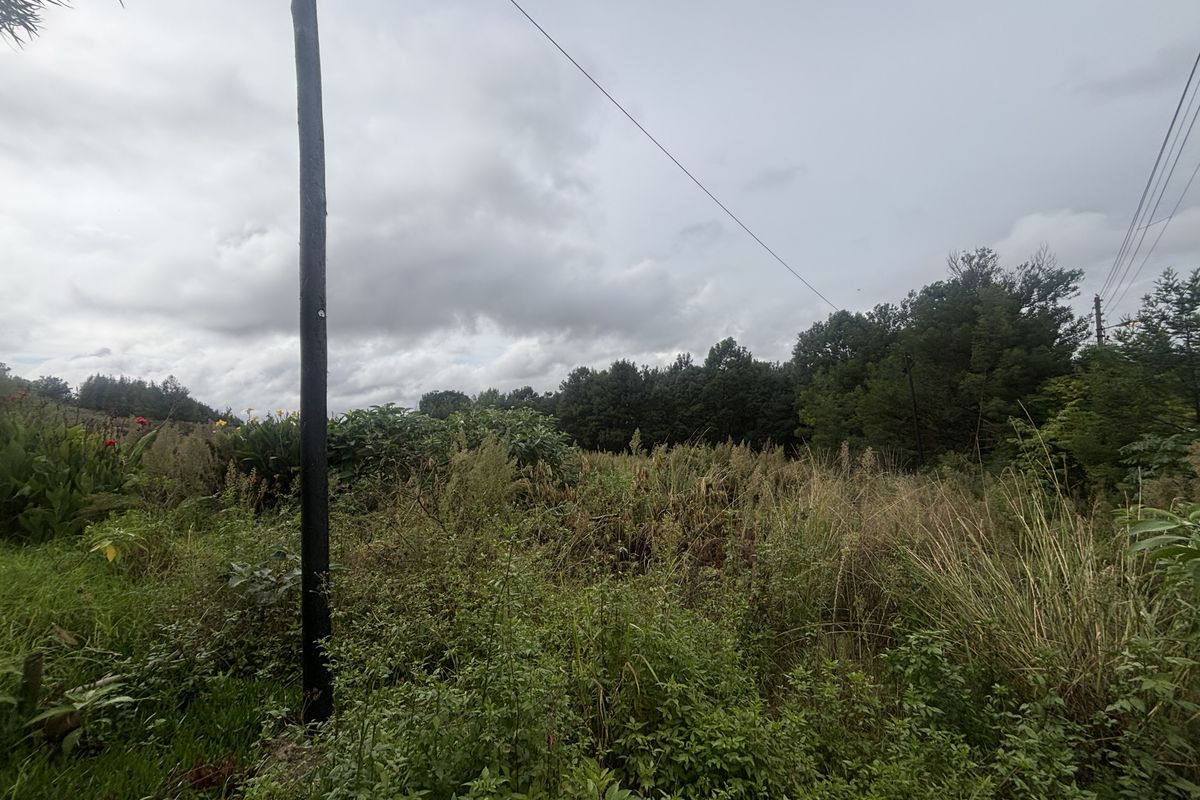 A view of a vacant residential plot featuring overgrown vegetation, a utility pole, and overhead power lines under a cloudy sky.