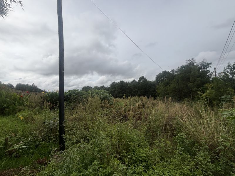 A view of a vacant residential plot featuring overgrown vegetation, a utility pole, and overhead power lines under a cloudy sky.