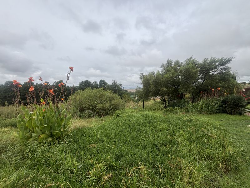 A view of the established garden area featuring mature trees and natural landscaping on the residential property.