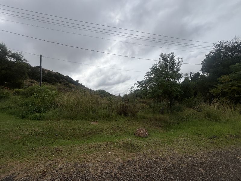 A view of a vacant residential plot featuring natural vegetation, trees, and overhead utility lines.