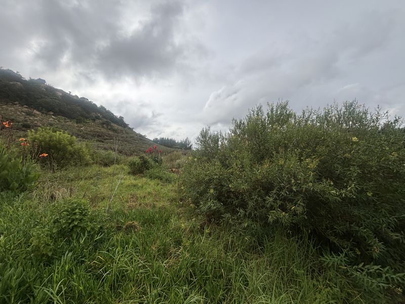A view of the natural, undeveloped residential land featuring native vegetation and a sloped landscape under a cloudy sky.