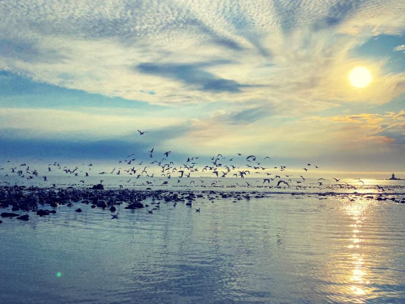 St Helena Bay - Vacant land for sale Shelley Point Secure Estate - Photo 8