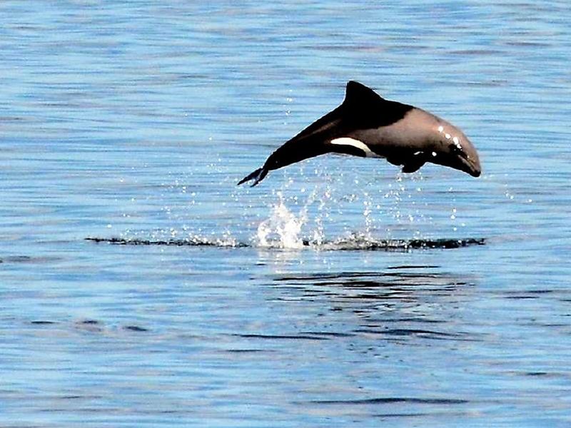 St Helena Bay - Vacant land for sale Shelley Point Secure Estate - Photo 7