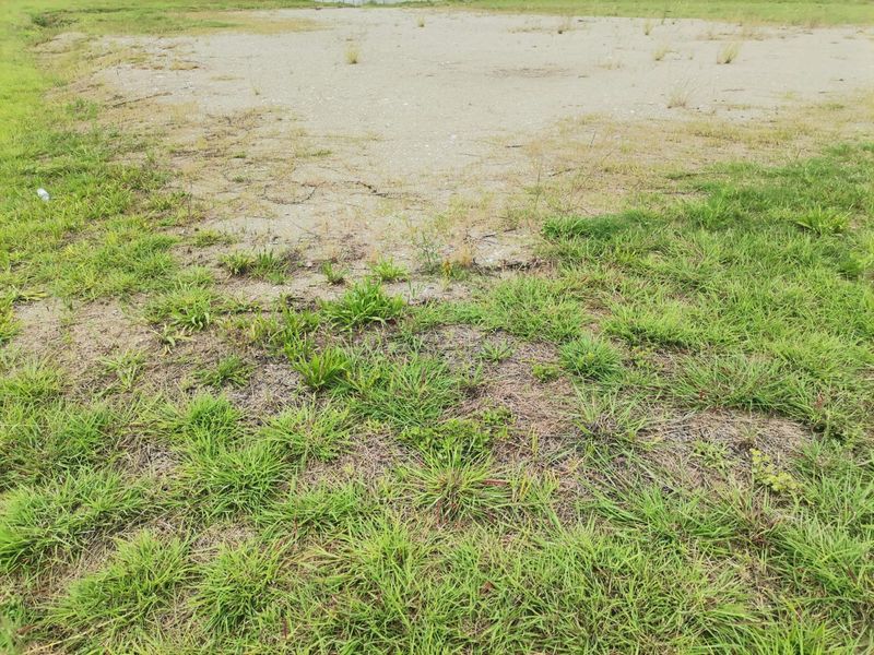 Spacious 762m2 vacant stand in the sought-after Bushveld Estate, Brits - Photo 9