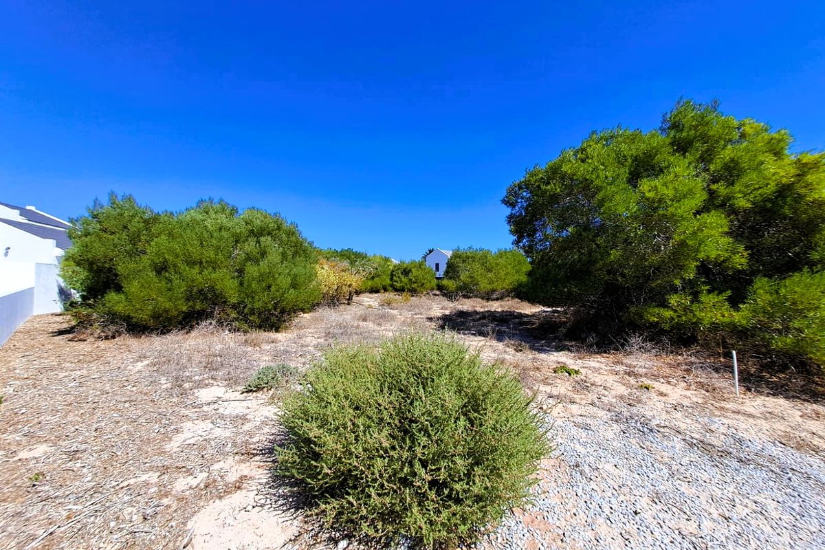 Vacant Land Residential For Sale In St Helena Bay - Photo 4