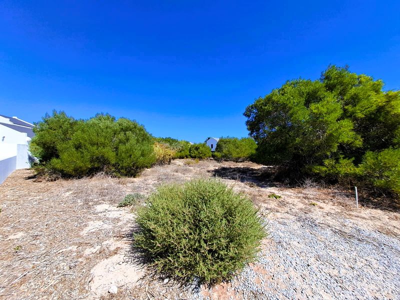 Vacant Land Residential For Sale In St Helena Bay - Photo 4