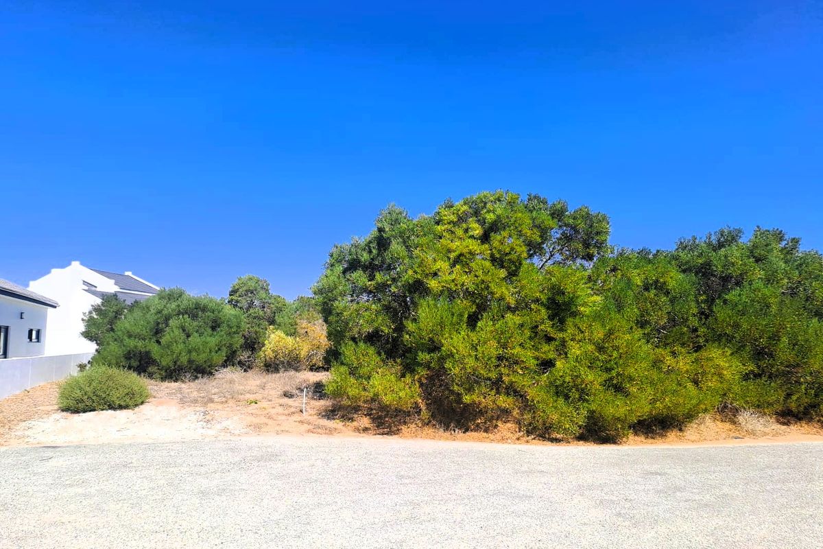 Vacant Land Residential For Sale In St Helena Bay - Photo 5