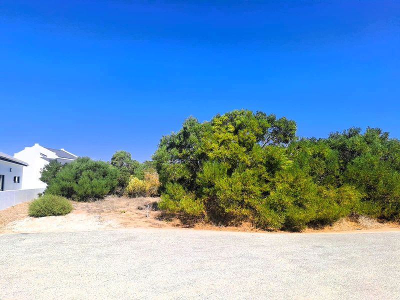 Vacant Land Residential For Sale In St Helena Bay - Photo 5