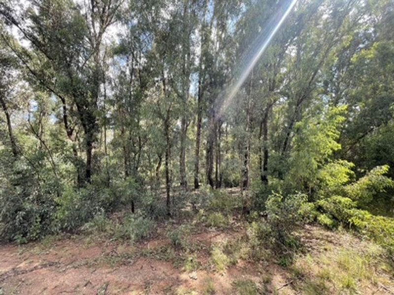 Love of Trees and Nature - Tranquility  - Own this Corner Stand Today!!! - Photo 4