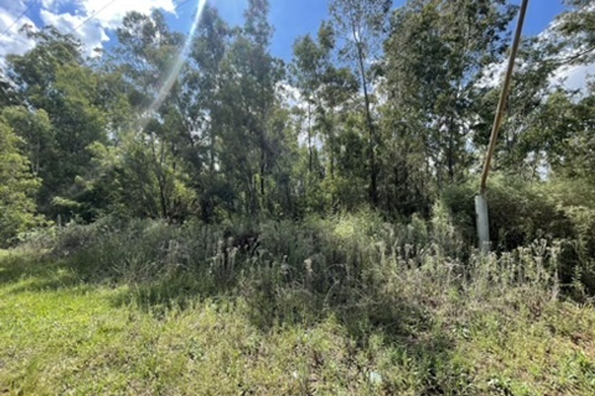 Love of Trees and Nature - Tranquility  - Own this Corner Stand Today!!! - Photo 3