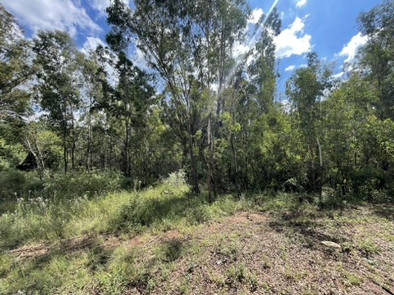 Love of Trees and Nature - Tranquility  - Own this Corner Stand Today!!! - Photo 10