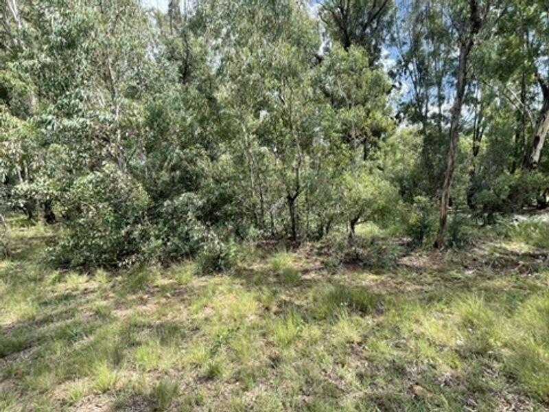 Love of Trees and Nature - Tranquility  - Own this Corner Stand Today!!! - Photo 8