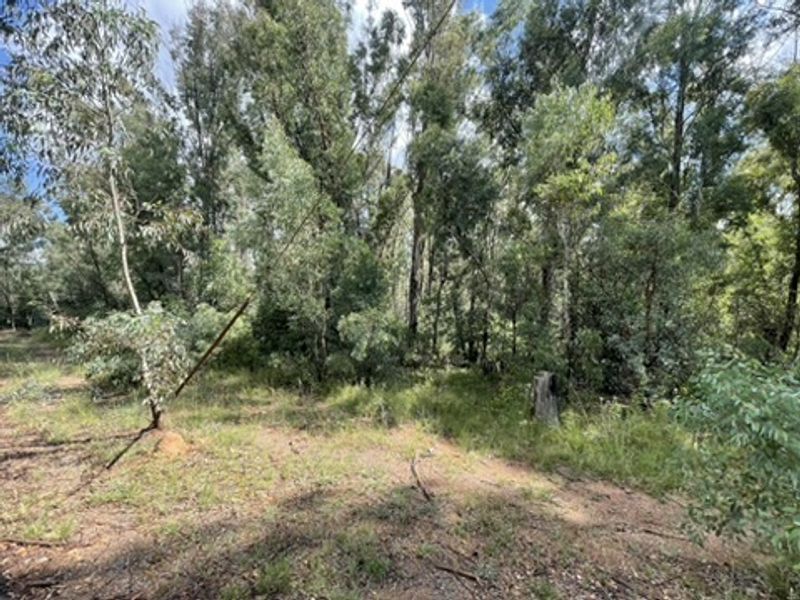 Love of Trees and Nature - Tranquility  - Own this Corner Stand Today!!! - Photo 7