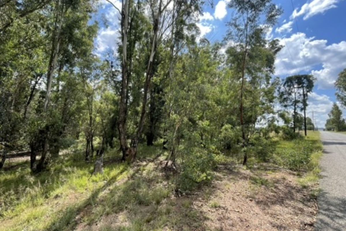 Love of Trees and Nature - Tranquility  - Own this Corner Stand Today!!! - Photo 2