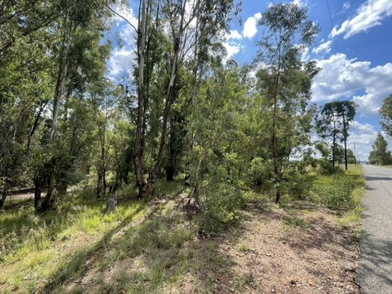 Love of Trees and Nature - Tranquility  - Own this Corner Stand Today!!! - Photo 2