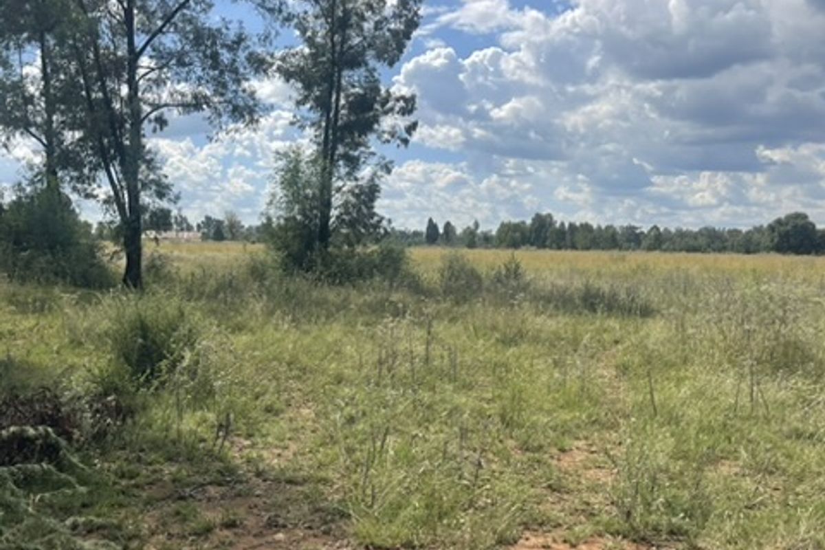 Spacious 1.76ha Land Portion – Perfect for Your Dream Lifestyle - Photo 3