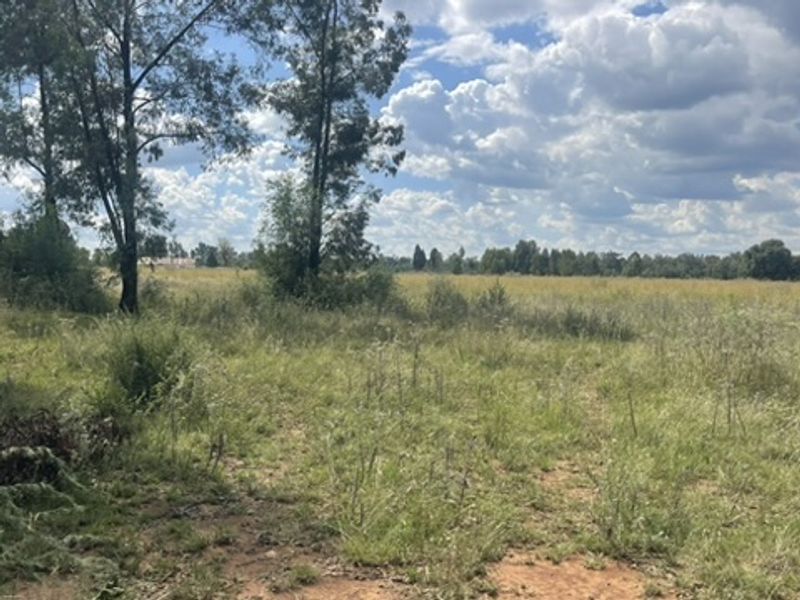 Spacious 1.76ha Land Portion – Perfect for Your Dream Lifestyle - Photo 3