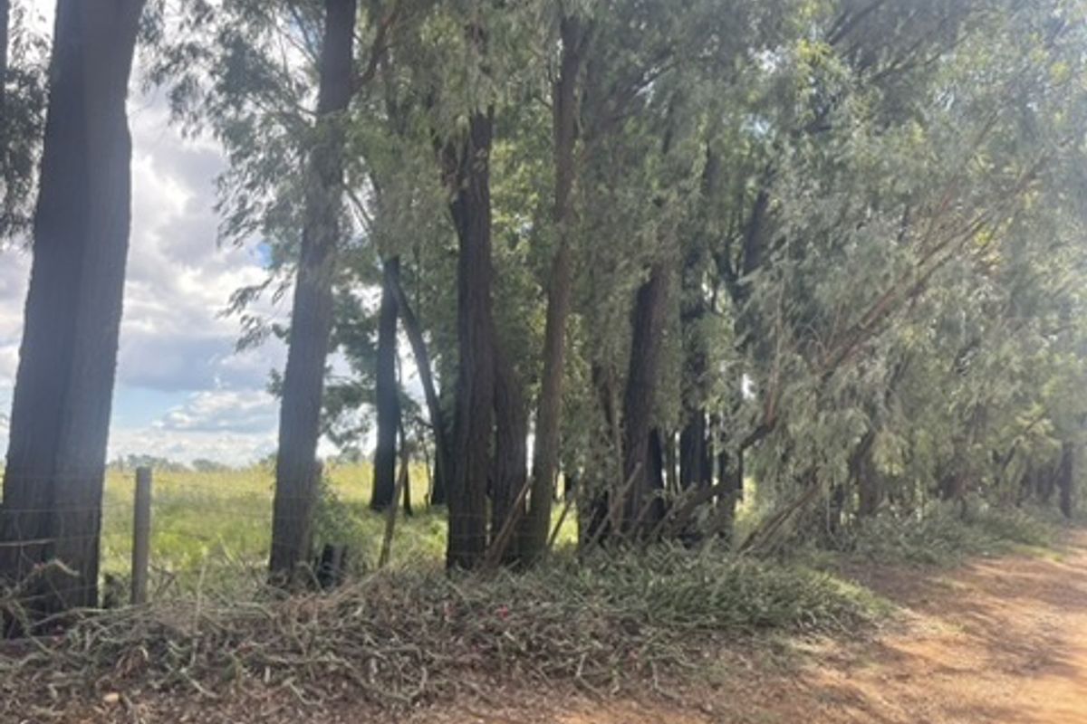 Spacious 1.76ha Land Portion – Perfect for Your Dream Lifestyle - Photo 2