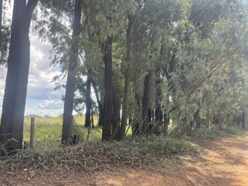 Spacious 1.76ha Land Portion – Perfect for Your Dream Lifestyle - Photo 2