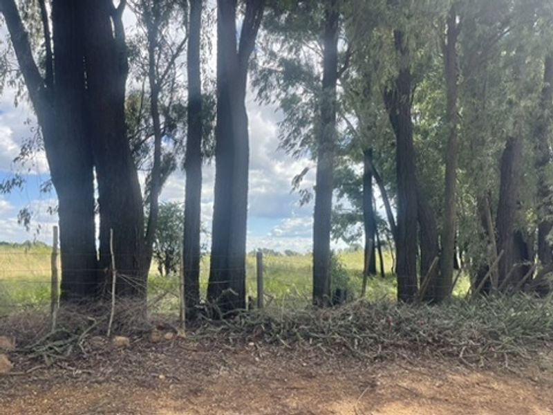 Spacious 1.76ha Land Portion – Perfect for Your Dream Lifestyle - Photo 10