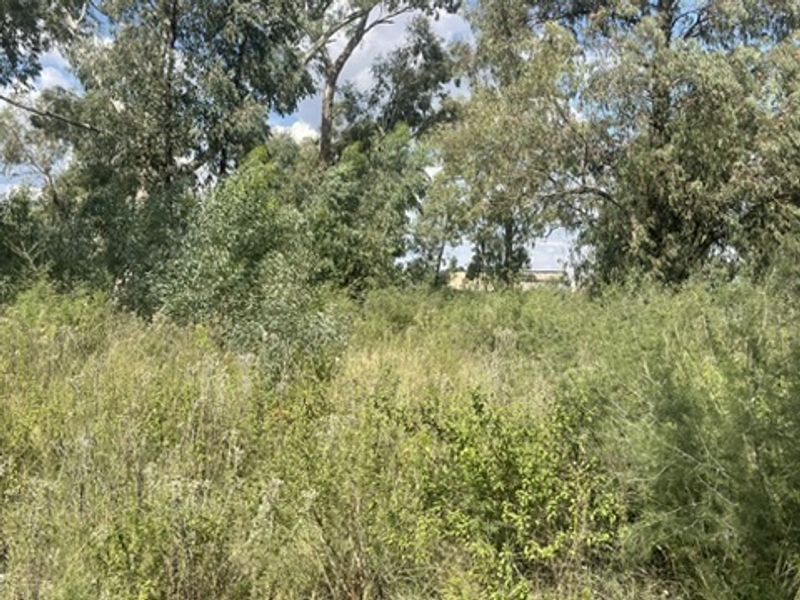 Spacious 1.76ha Land Portion – Perfect for Your Dream Lifestyle - Photo 8