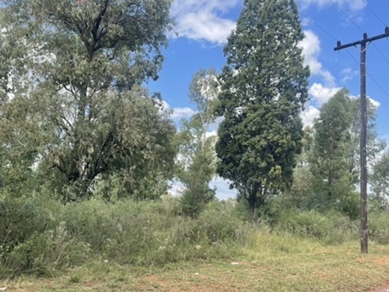 Spacious 1.76ha Land Portion – Perfect for Your Dream Lifestyle - Photo 7