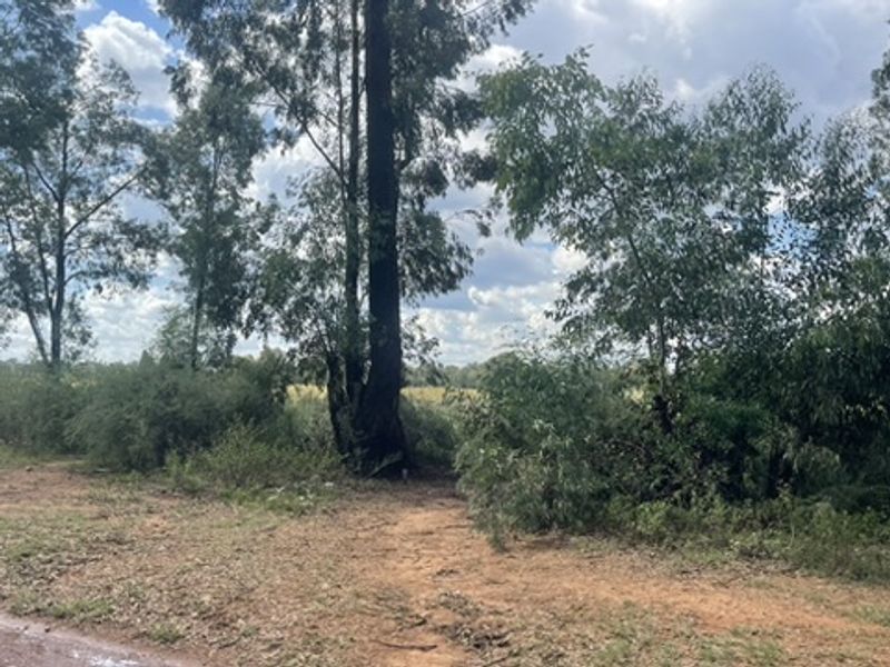 Spacious 1.76ha Land Portion – Perfect for Your Dream Lifestyle - Photo 6