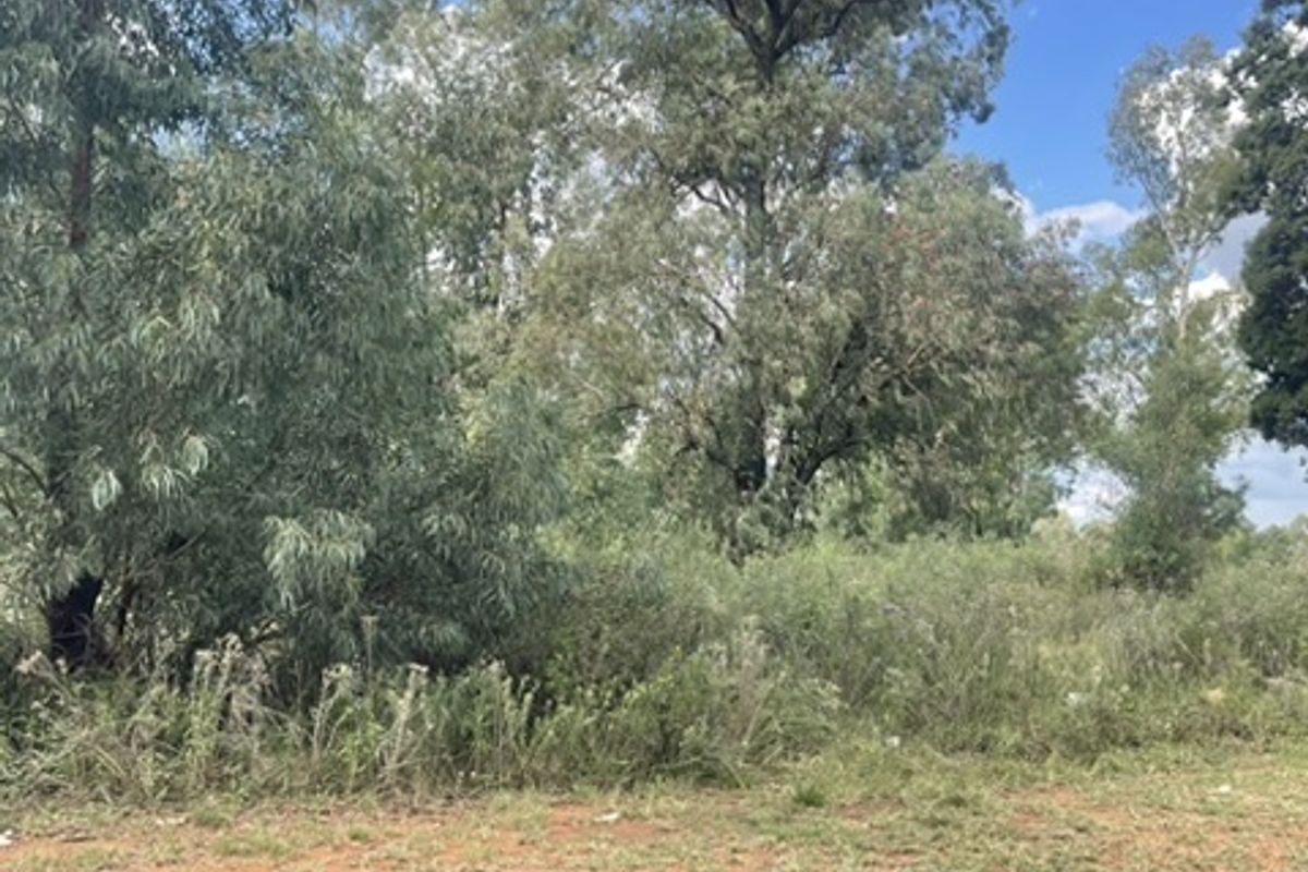 Spacious 1.76ha Land Portion – Perfect for Your Dream Lifestyle - Photo 5