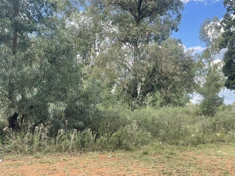 Spacious 1.76ha Land Portion – Perfect for Your Dream Lifestyle - Photo 5