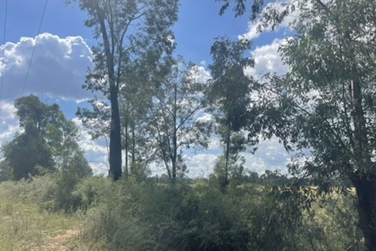 Spacious 1.76ha Land Portion – Perfect for Your Dream Lifestyle - Photo 4