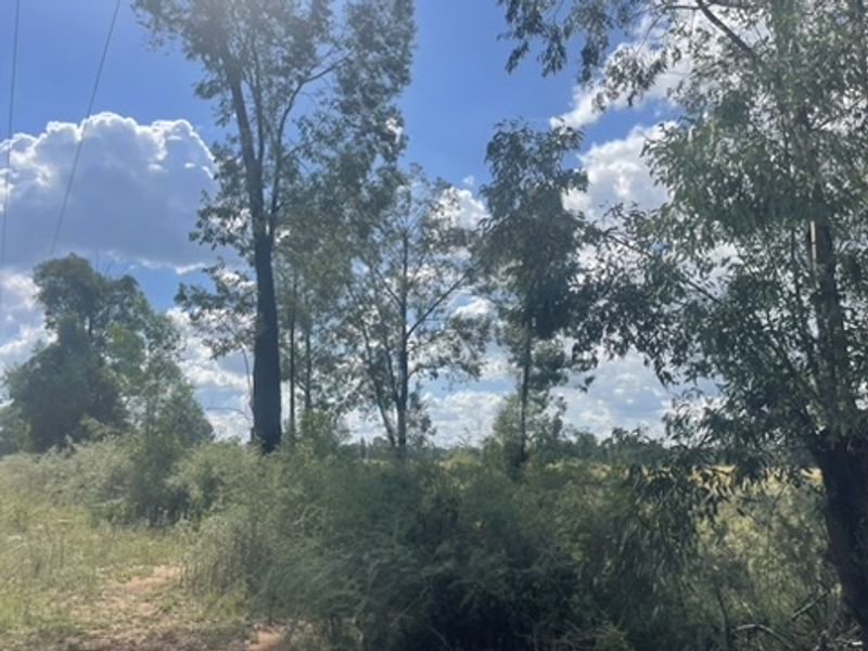 Spacious 1.76ha Land Portion – Perfect for Your Dream Lifestyle - Photo 4