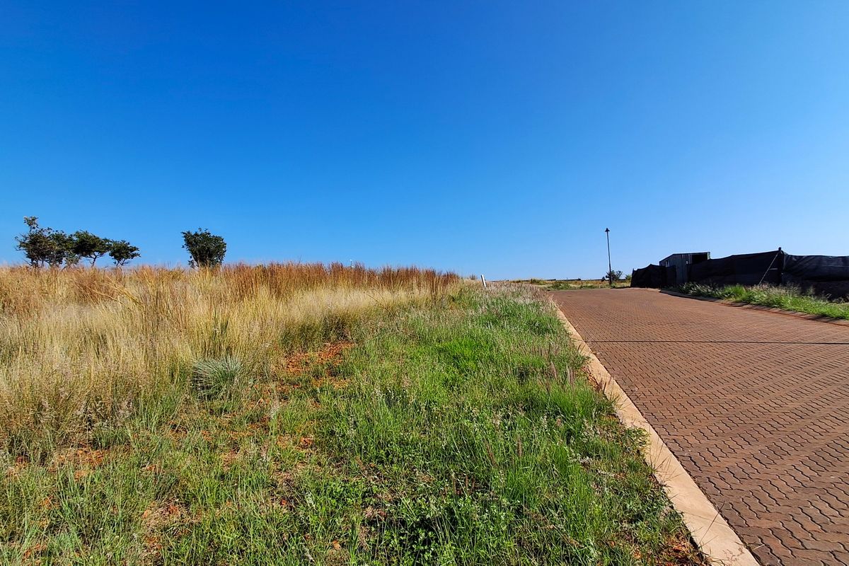 A view of a paved residential street bordering an undeveloped plot of land with natural grass and scattered trees.