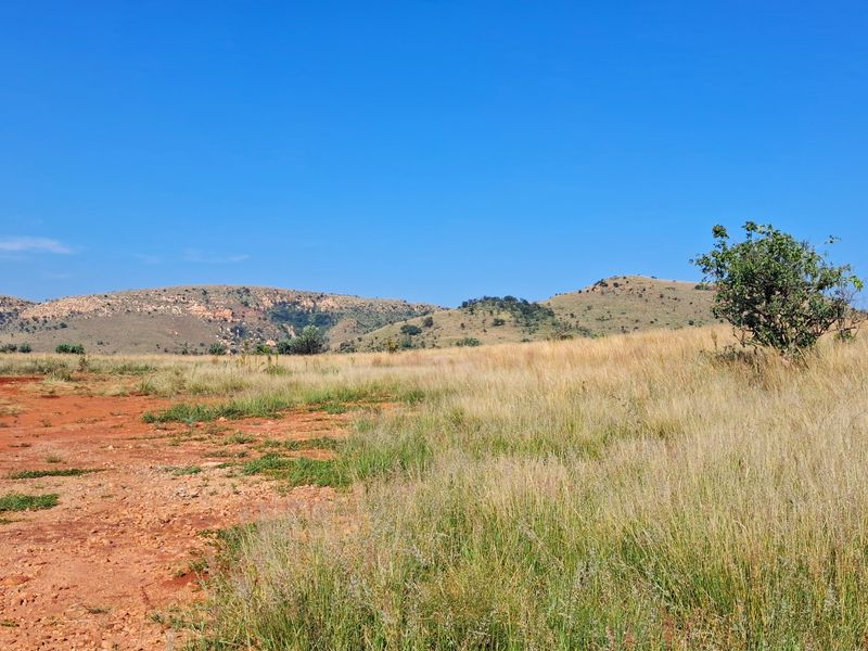 A scenic view of the natural landscape featuring open grassy fields and rolling hills under a clear blue sky.