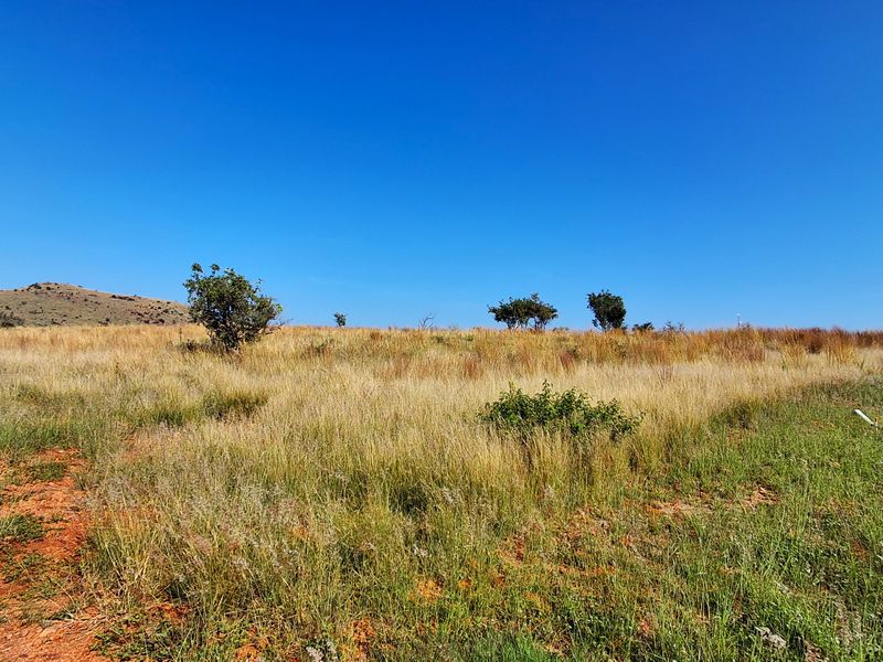 A wide-angle view of a vacant residential plot featuring natural grassland, scattered shrubs, and a clear blue sky.