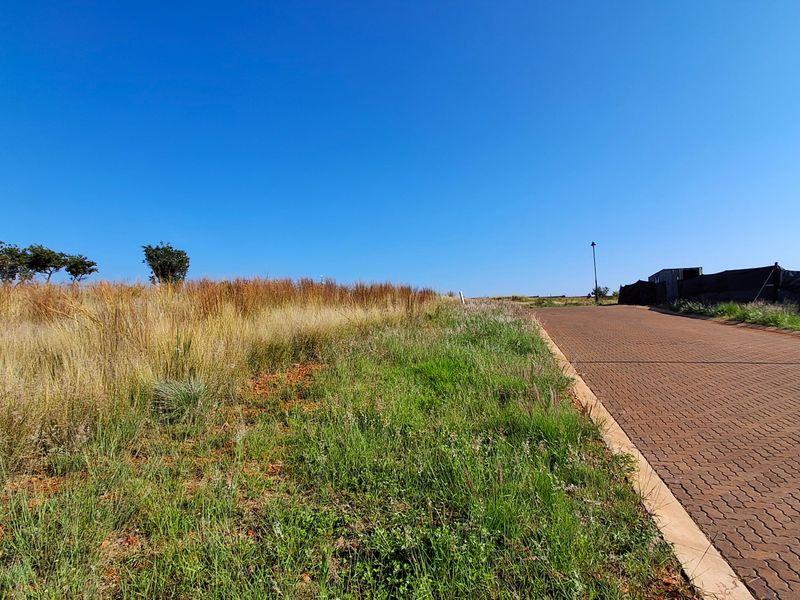 A view of a paved residential street bordering an undeveloped plot of land with natural grass and scattered trees.