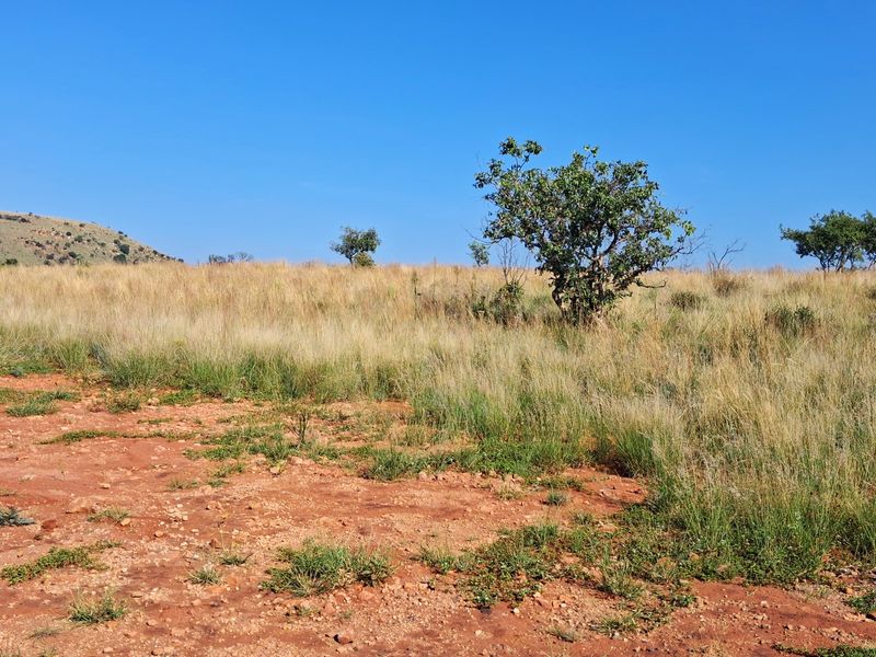 A view of the vacant residential land featuring natural grass, scattered trees, and hilly terrain in the background.