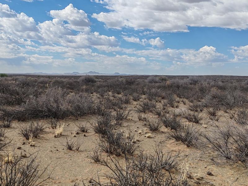 BRANDVLEI: KAROO-DROOMPLAAS – 8822 HA - Photo 3