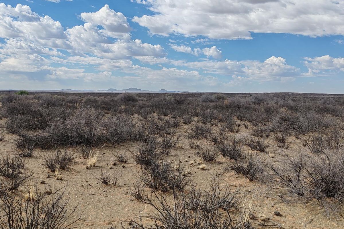 BRANDVLEI: KAROO-DROOMPLAAS – 8822 HA - Photo 3