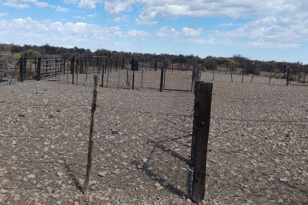 BRANDVLEI: KAROO-DROOMPLAAS – 8822 HA - Photo 2