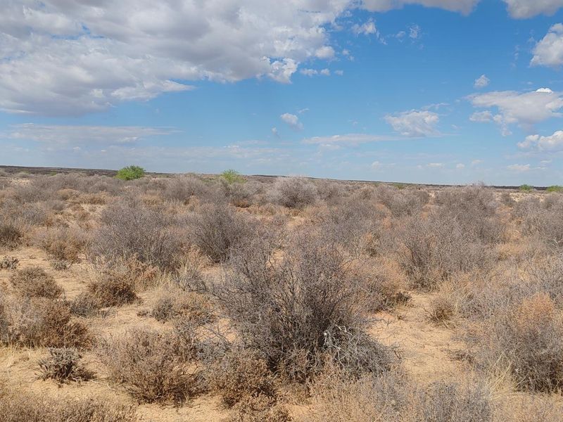 BRANDVLEI: KAROO-DROOMPLAAS – 8822 HA - Photo 4