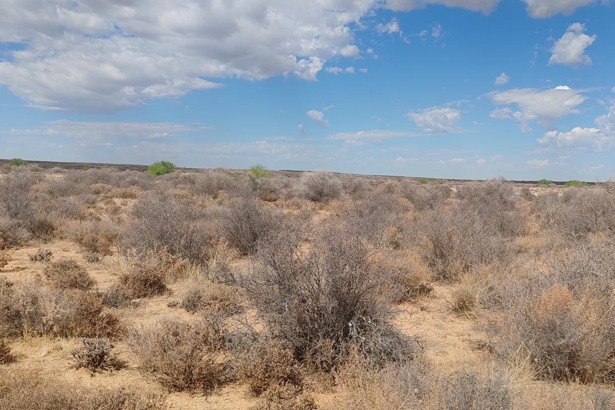 BRANDVLEI: KAROO-DROOMPLAAS – 8822 HA - Photo 4