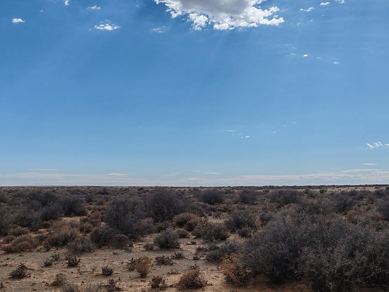 BRANDVLEI: KAROO-DROOMPLAAS – 8822 HA - Photo 5